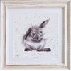 Wrendale Designs - 'Bathtime' Framed Card - White