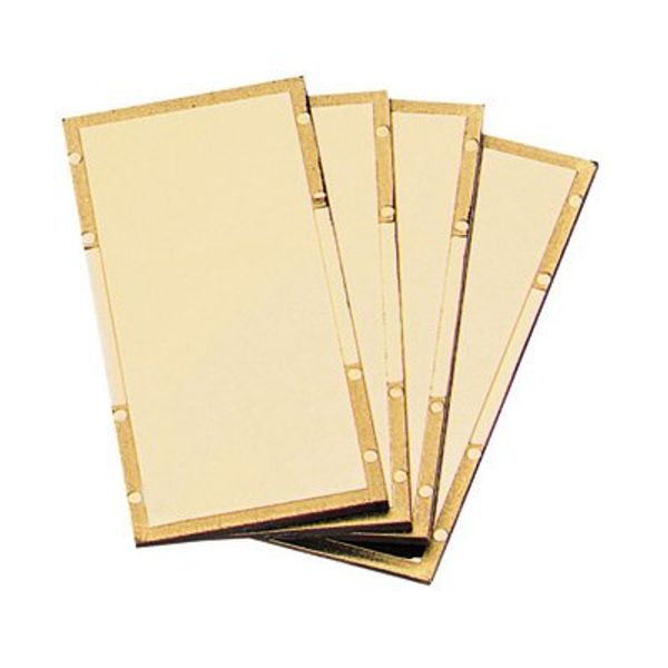 Radnor 2" X 4 1/4" Shade 9 Gold-Coated Polycarbonate Filter Plate
