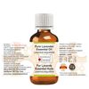 Greenwood Essential Pure Lavender Essential Oil (Lavandula angustifolia) Steam Distilled 15ml (0.50 oz)