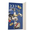SONIC THE HEDGEHOG AGE 9 BIRTHDAY CARD.