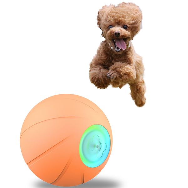 Dog Toy Automatic Ball Wicked Ball 2023