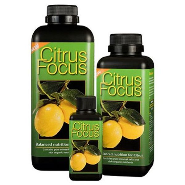 Citrus Focus 1L