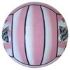 Sure Shot 340N905AP Netball - Pink, Size 5
