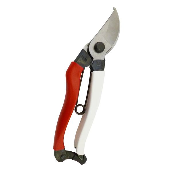 103 岡 恒 Pruning Shears Unique 200 Box, 50-Pack