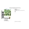 OliveNation Styrian Pumpkinseed Oil 16.9 oz.