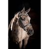 LeMieux Arika Flash Bridle - Black/Silver Full