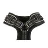 Adjustable Airmesh, Coal, 4-7