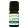 HYPER PLANTS HP Organic Essential Oil, Eucalyptus (Radiata) 5ml