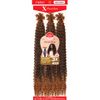 Outre Xpression Twisted Up Springy Bohemian Twist 3X (24", 613)