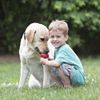 KONG Classic Dog Toy, X-Small