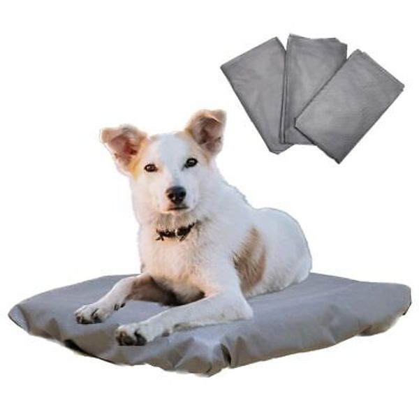 Disposable Pet Bed Covers, Fits All Dog and Cat Beds or Mats, Rectangular or ...