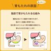 【第3類医薬品】タナベ胃腸薬ウルソ 60錠