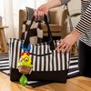 Baby Einstein Cal-a-Puller Pull & Shake Toy, Ages 0 Months and Up
