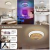 15'' Ceiling Fan w/ Lighting RGB LED Light Adjustable Wind Speed Remote Control