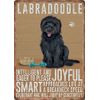 Small (150 x 200mm) Metal Sign - Black Labradoodle