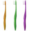 Oral Care Licable Mini Toothbrush 3pcs (Purple)