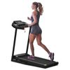 Home Gym Treadmill with Safety Key, Running Speed Settings, and Two Wheels