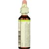 Bach Flower Remedies - Flower Remedies, Mustard - Be Joyful - Natural Homeopathic Flower Essence for Emotional Balance - Vegan, Gluten Free, Sugar Free - 20mL Dropper