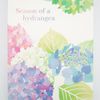 Hydrangea Postcard Notes | hgs-482