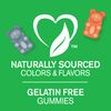 21st Century Zoo Friends Multi Gummies, Fruit 60 Count