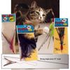 Da Bird Super Kit (36" Single Pole, Feather Refill, Sparkly Attachment, Kitty, Puff)
