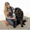 Kerbl Premium Pet Hair Remover, 15 x 10 cm