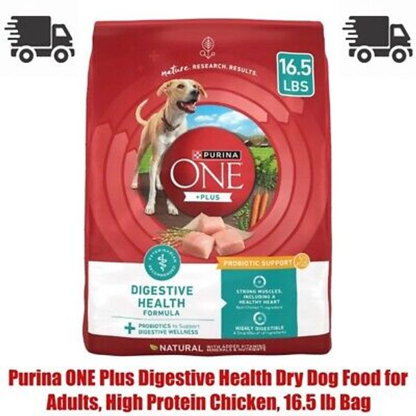 Purina ONE Plus Digestive Health Dry Dog Food for Adults, High Protein Chicken,