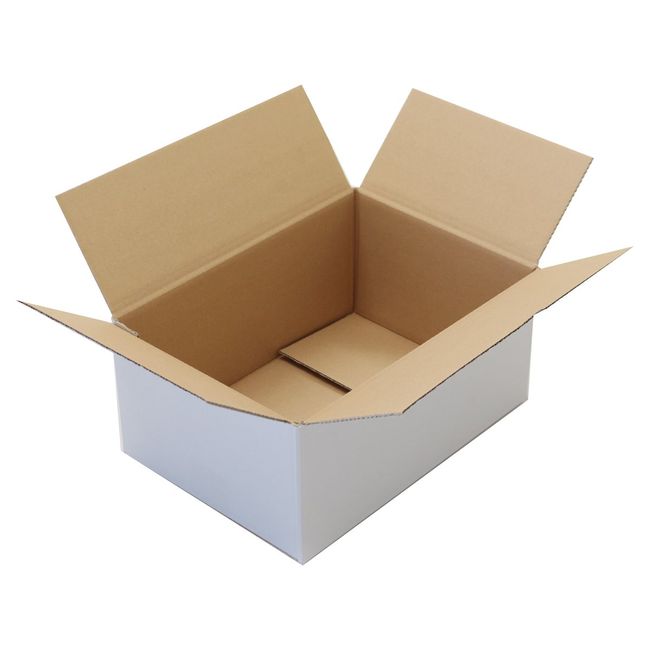 Earth Cardboard ID0242 Cardboard, 80 Size, Set of 30, A4, Depth 5.7 inches (144 cm), White, Cardboard, 31.5 inches (80 cm), 70 Size