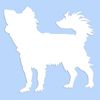 Long Haired Chihuahua 3.75" x 4 White