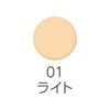 UV Silk Cover Powder 01 Light
