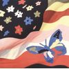Wildflower (2Lp/Cd)