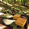 Cielche Natural Handmade Bittim Soap Bar Hackberry Soap150g Dandruff, Eczema, Fungus, Pores, Acne, Varicose Veins and Hair Loss Solution Antibacterial