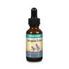 Herbs For Kids Astragalus Extract Liquid | 1 Ounce