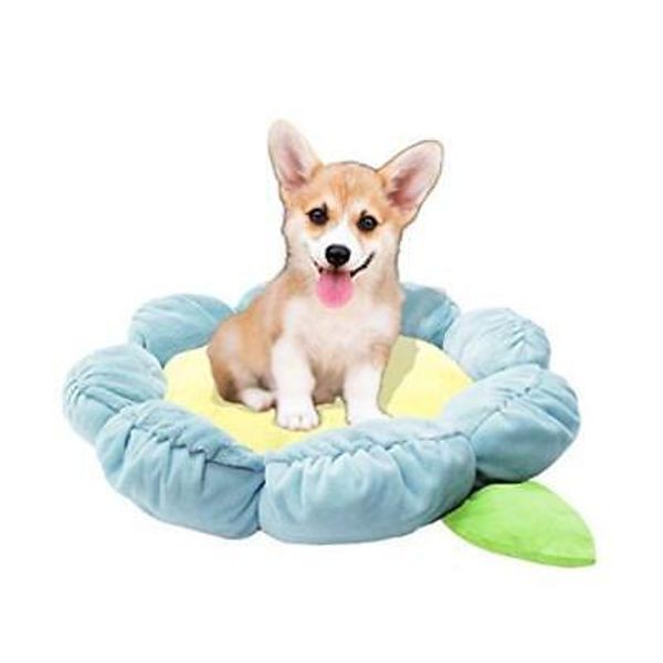 Soft Plush Small Cute and Cozy Nature Dog Cat Bed, Washer and Blue Flower