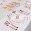 Rose Gold Plastic Dinner and Salad Plates, Cups, Silverware, New Elegant Design