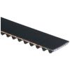 Gates T251 Premium Automotive Timing Belt