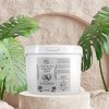 Exfoliating Coconut Oil Scrub - 128oz - Lavender