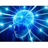 c immune pills - IMMUNE SUPPORT COMPLEX - graviola pulp extract 1B