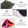 INTVN 9PH8 Lip Brush, Acrylic