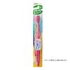 Shebis Toothbrush, Premium Care, Teeth Whitening, 6 Rows, Compact, Regular, Set of 3, Assorted Colors