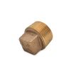 Thrifco 5318095 1-1/4 Inch Brass Plug Fitting