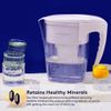 Water Filter Pitcher – Lead, Chlorine, PFOA/PFOS, Microplastics Filter, 10 Cup, 
