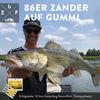 Zanderfang - Rubber Fish Set Fishing Bait Zander Fishing Pike Bait Rubber Fish Fishing Lure Set Artificial Bait