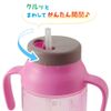 1 x Pigeon Straw Bottle Kurut Dinosaur