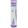 Boiron Carbo Vegetabilis 1M for Abdominal Bloating with Gas - 80 Pellets