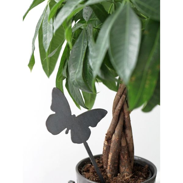 Butterfly Plant Stake