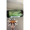 Aveda Peppermint Essential Oil + Base 1oz/30ml New