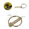 Pack of 6 - Spring Bars "Ring" 9mm x 55mm