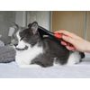 Rosewood Soft Protection Cat Brush