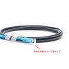 Fiber Optic Cable Optical Line Optical Cable SC Connector (Black, 0.2m)